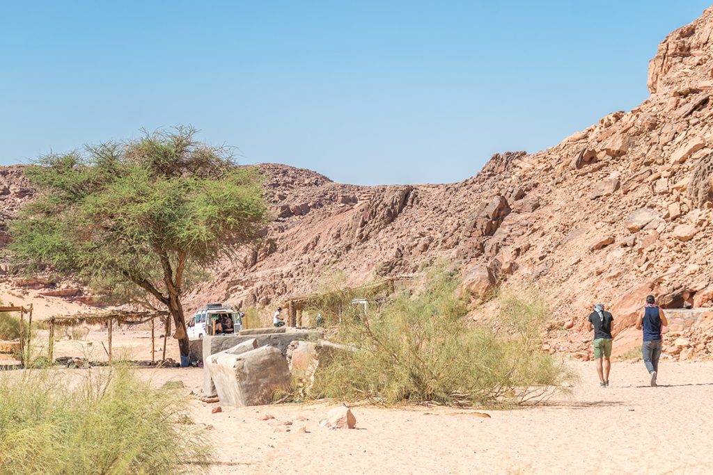 egypt_ehat_31