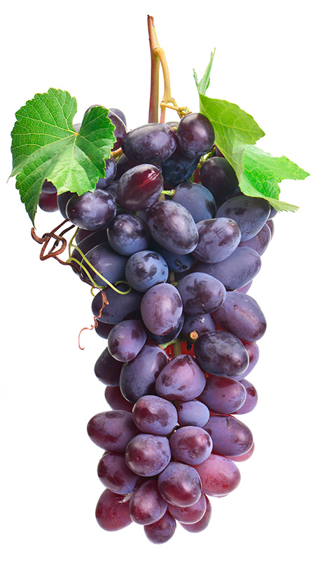 гроздь винограда, синий виноград, осень, рецепт, изюм, история