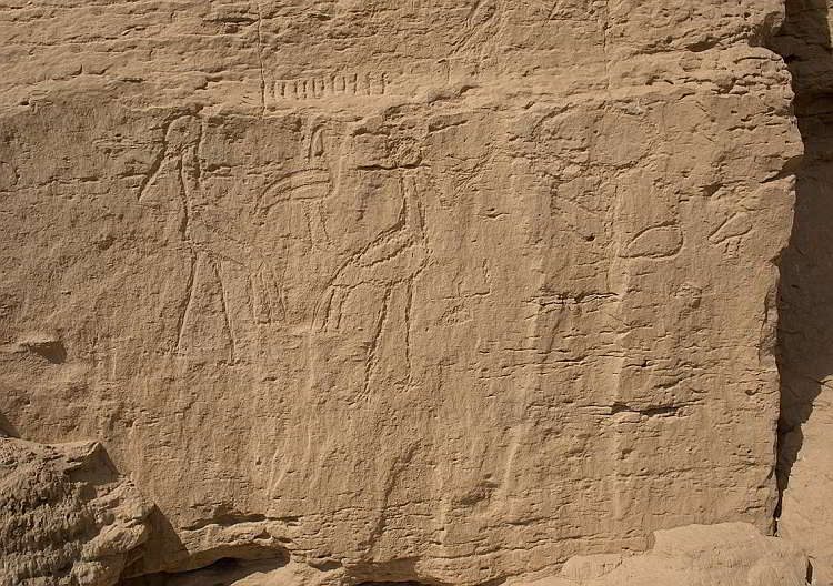 Новости археологии, Иероглифы на скале возле Элькаб, Египет