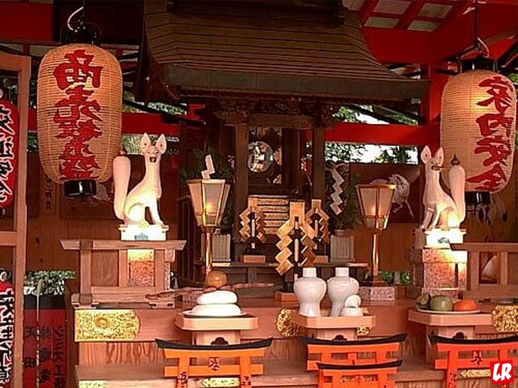 фишки дня - 22 февраля, день кошек в Японии, кошачий храм Кагосима