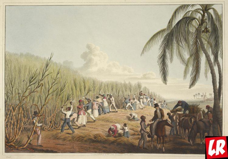 Сахарная плантация, Карибы, остров Антигуа