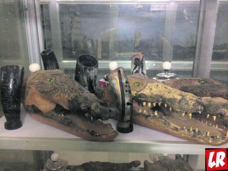 крокодил, Судан