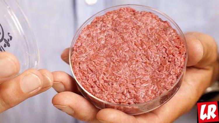 искусственное мясо, еда будущего