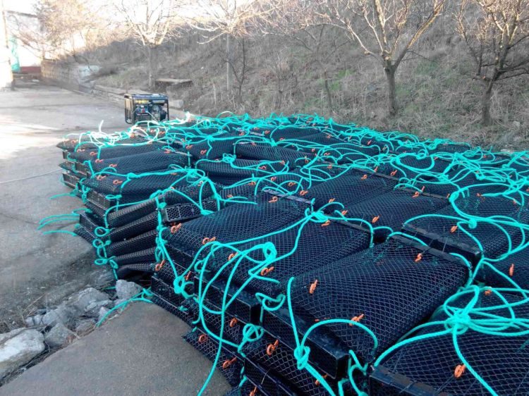 Устрицы, ферма, Николаев, Тилигульский лиман, Пигулевский