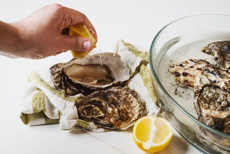 Устрицы, Николаев, Тилигульский лиман, Пигулевский