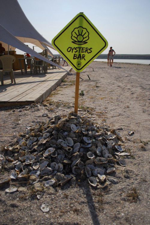 Устрицы, ферма, Николаев, Тилигульский лиман, Пигулевский