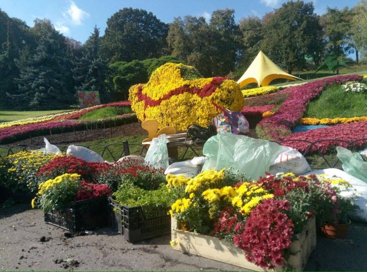 Фестиваль хризантем в Киеве, цветочные композиции