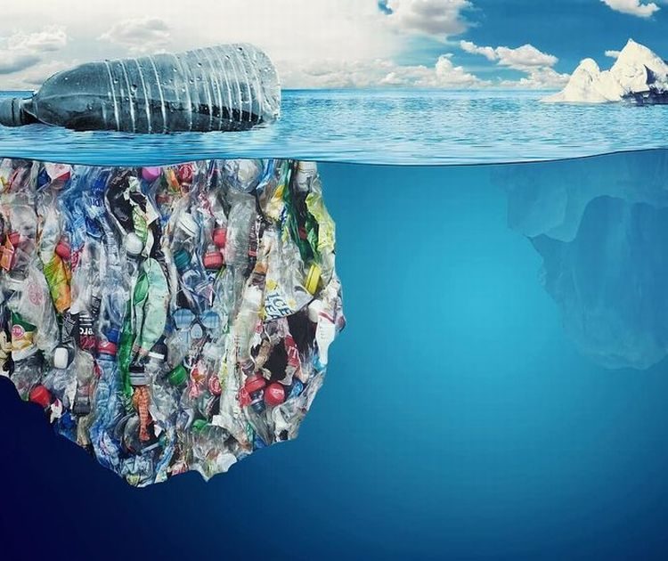 Zero waste, жизнь без отходов, мусор