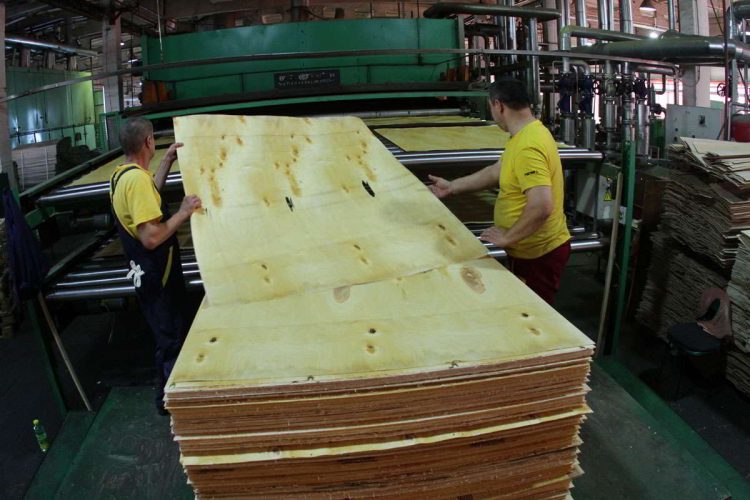 фабрика лыжи производство украина мукачево