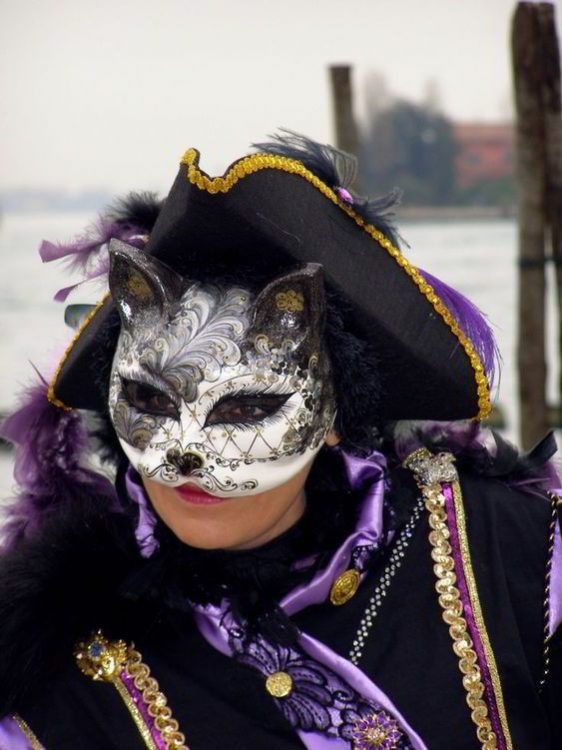 кот, Венеция, маска, Венецианский карнавал 