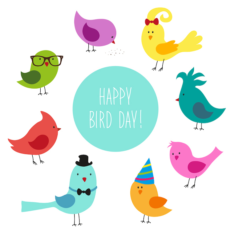 День птиц