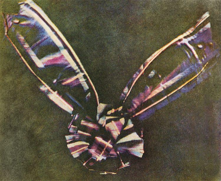 Ленточка из шотландки, Первые цветные фото в истории, Максвелл 
