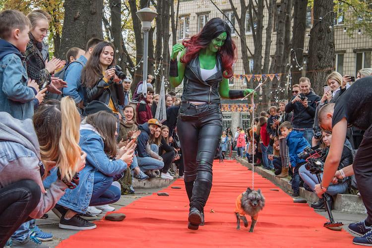 Comic Con Ukraine, собачий косплей, костюмы